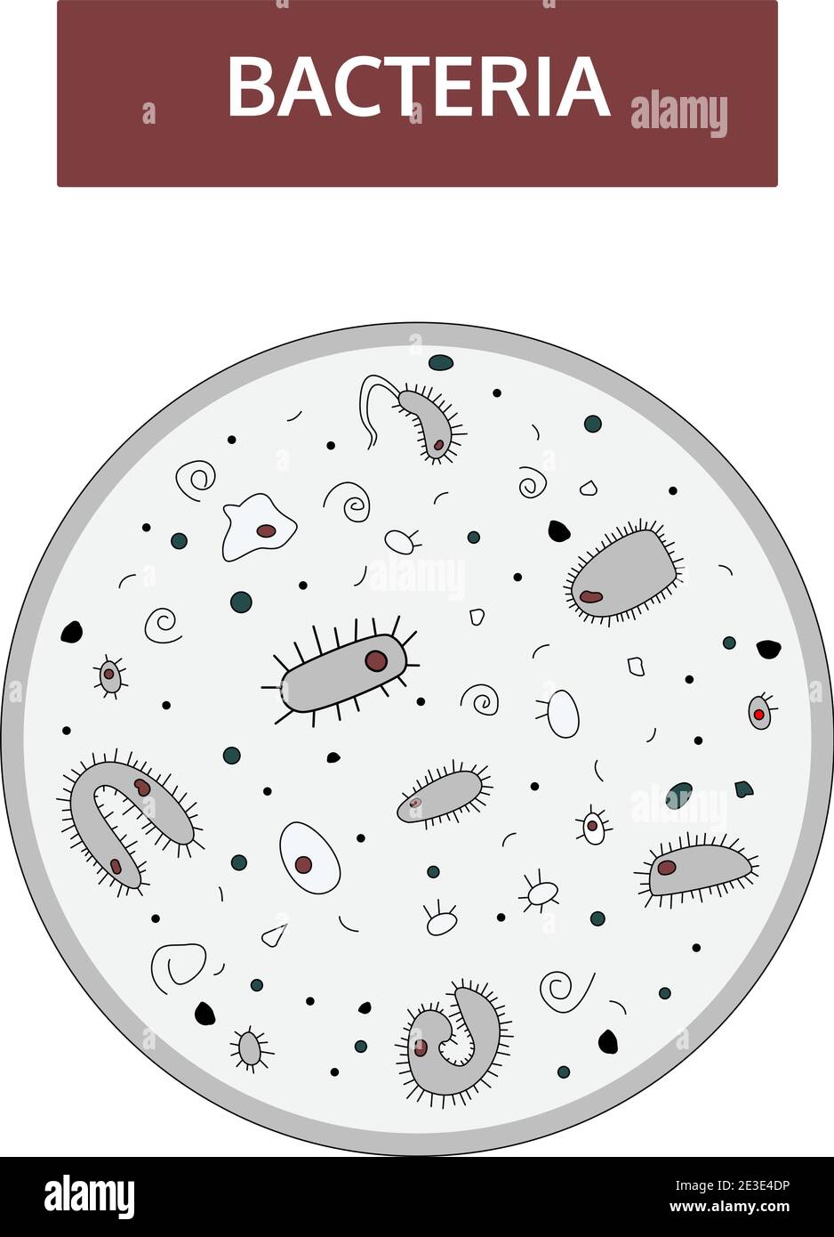 Doodle-Stil, handgezeichnete Zeichnung. Schwarze und weiße Bakterien mit einem dunkelroten Kern auf grauem Hintergrund unter einem Mikroskop. Medizinisches Flachkonzept. Stock Vektor