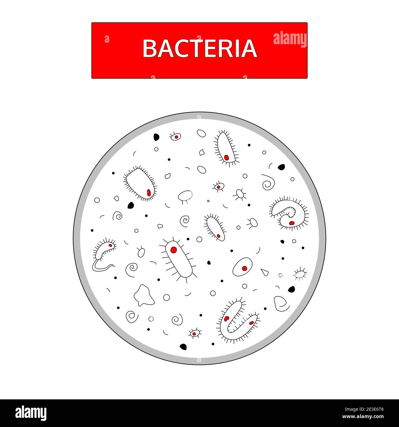 Doodle-Stil, handgezeichnete Zeichnung. Schwarze und weiße Bakterien mit einem roten Kern auf weißem Hintergrund unter einem Mikroskop. Medizinisches Flachkonzept. Stock Vektor