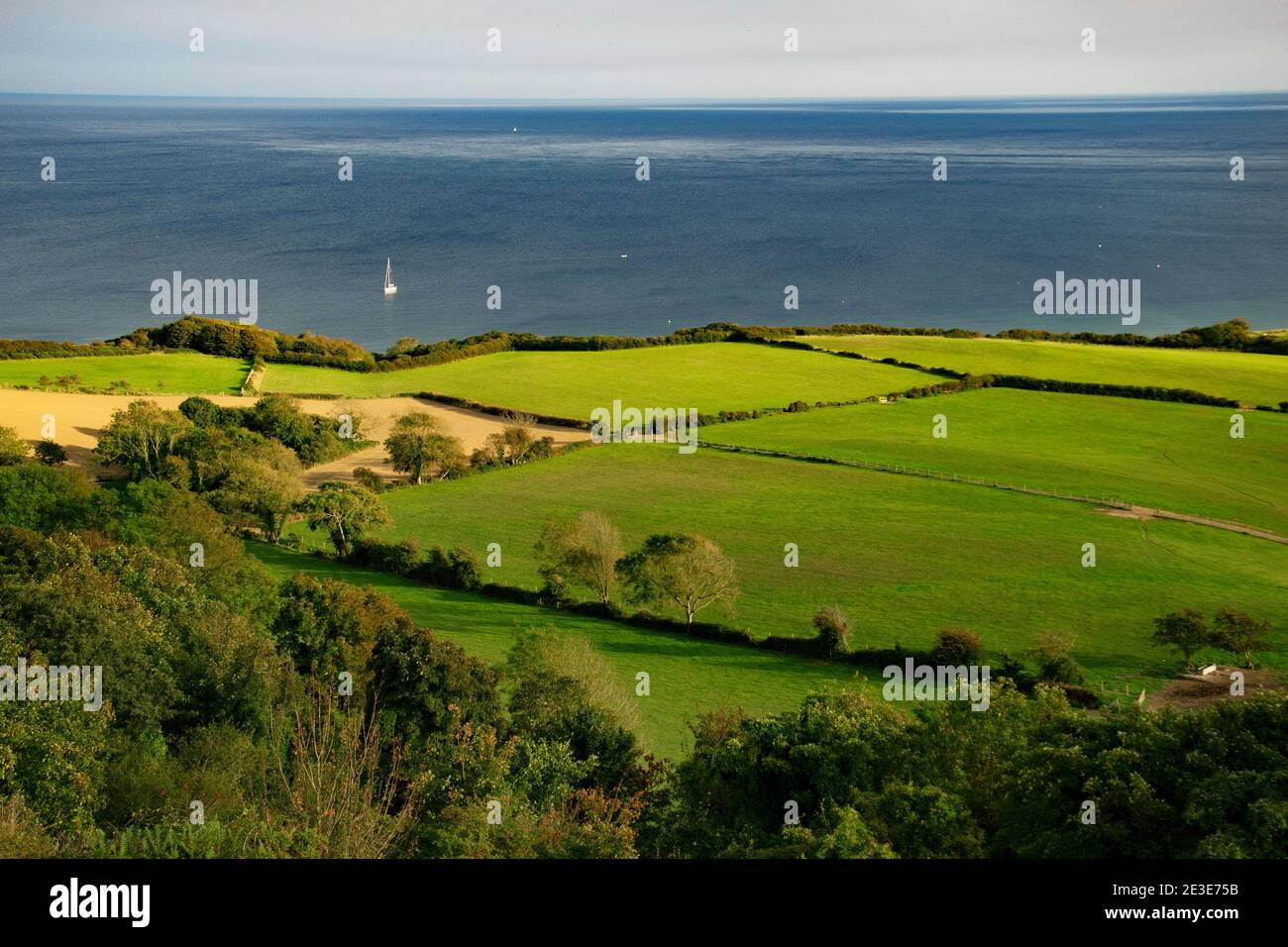 Ein Blick auf grüne Hügel und den Ärmelkanal im warmen Nachmittagslicht von Swanage, Dorset Stockfoto