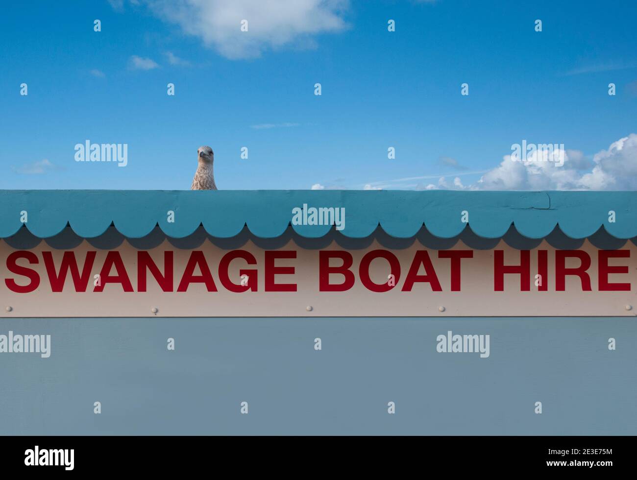 Sommer an der britischen Küste Boote zu mieten in Swanage, Dorset Stockfoto