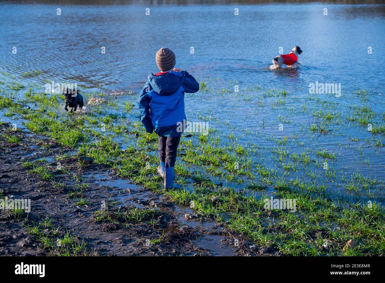 9-jähriger Junge und sein Hund in und bei einem überfluteten Feld in der Nähe von Burham in Kent, Großbritannien nach starkem Regen Januar 2021 Stockfoto