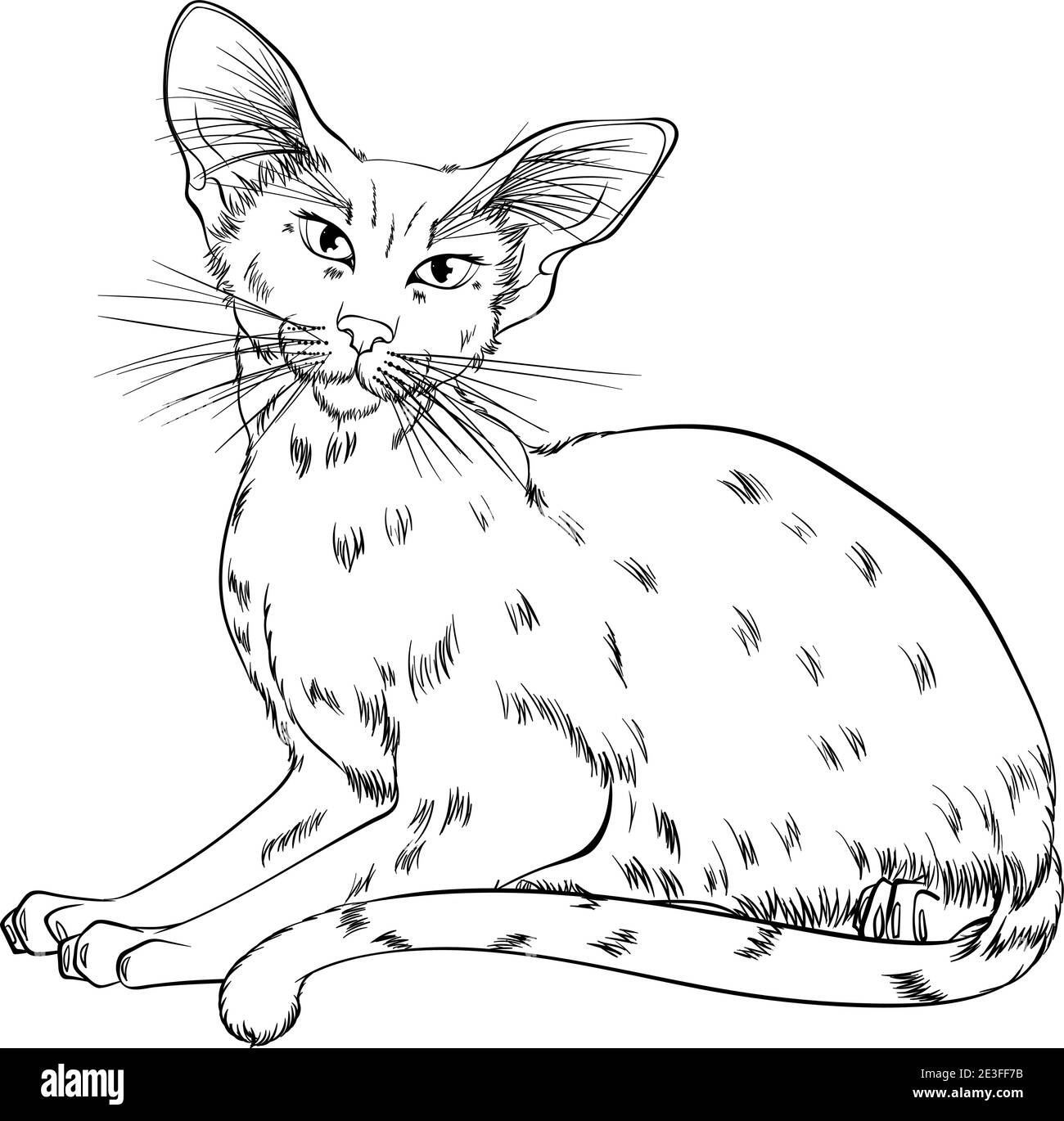  Liegende katze zeichnen Schwarzweiß-Stockfotos und -bilder - Alamy Illustration 