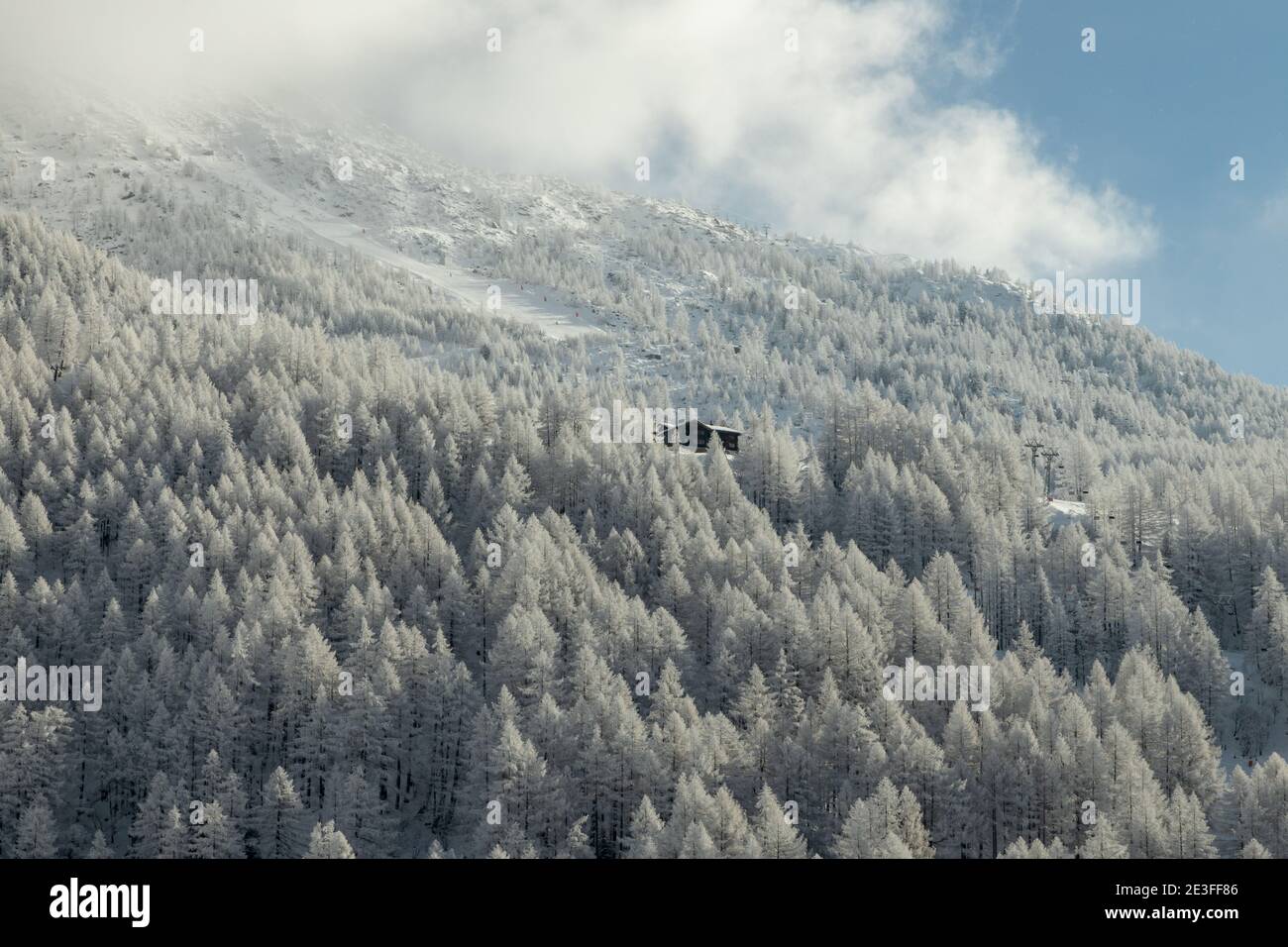 Eine Winterlandschaft mit einsamer Hütte inmitten eines gefrorenen Waldes in der Schweiz. Stockfoto