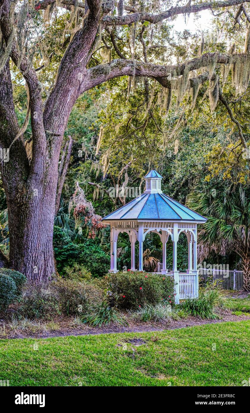 Pavillon von Old Oak Tree Stockfoto