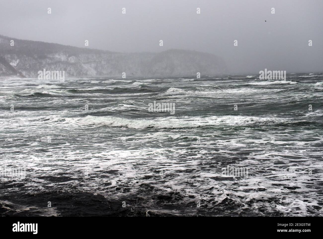 Raues Meer im harten Winter in Hokkaido, Japan. Stockfoto