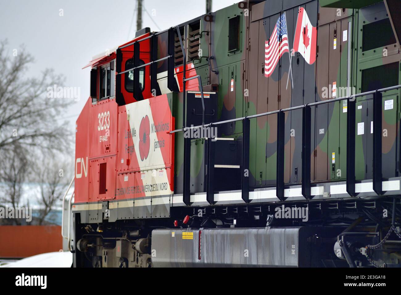 Bartlett, Illinois, USA. Mehrere Lokomotiven der Canadian National Railway, angeführt von einer speziell lackierten Einheit zu Ehren von Veteranen, führen einen Güterzug an. Stockfoto