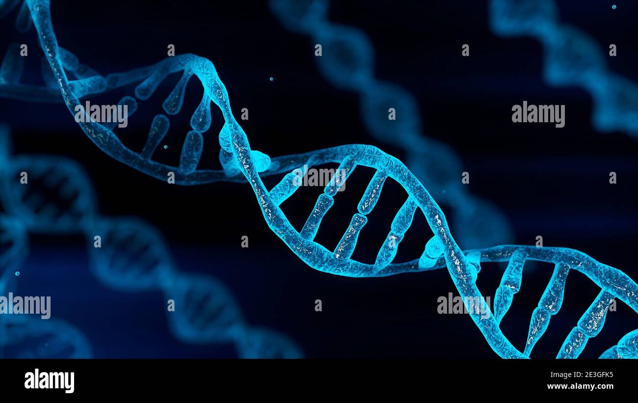 Blaue Chromosom-DNA und allmählich glühendes Flicker-Licht Materie Chemikalie, wenn Kamera Nahaufnahme bewegen. Medizin und Vererbung genetisches Gesundheitskonzept. Techn Stockfoto Blaue Chromosom-DNA und allmählich glühendes Flicker-Licht Materie Chemikalie, wenn Kamera Nahaufnahme bewegen. Medizin und Vererbung genetisches Gesundheitskonzept. Techn Stockfoto
