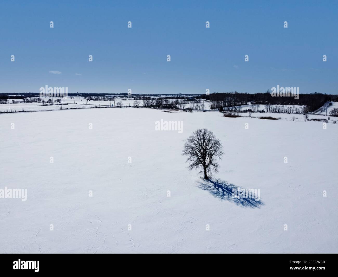 Luftaufnahme eines Baumes im Winter, umgeben von Schnee. Kanata Nachbarschaft kann im Hintergrund gesehen werden. Ottawa, Ontario, Kanada. Stockfoto