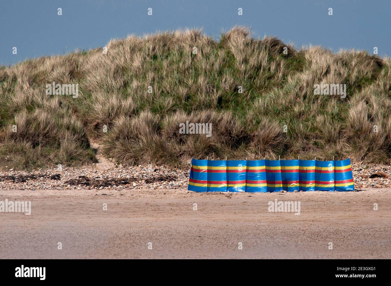 Windbreak, Beadnell Beach, Northumberland Stockfoto
