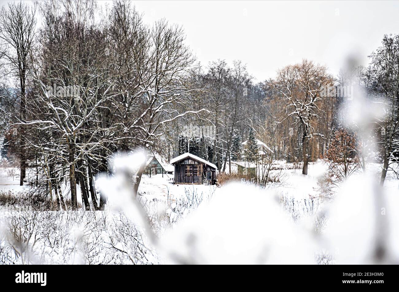 Wunderbare weiße Winterlandschaft in der Landschaft mit Bäumen bedeckt Bei Schnee nach großem Schneefall und traditionellem alten Holzhaus In Litauen Stockfoto