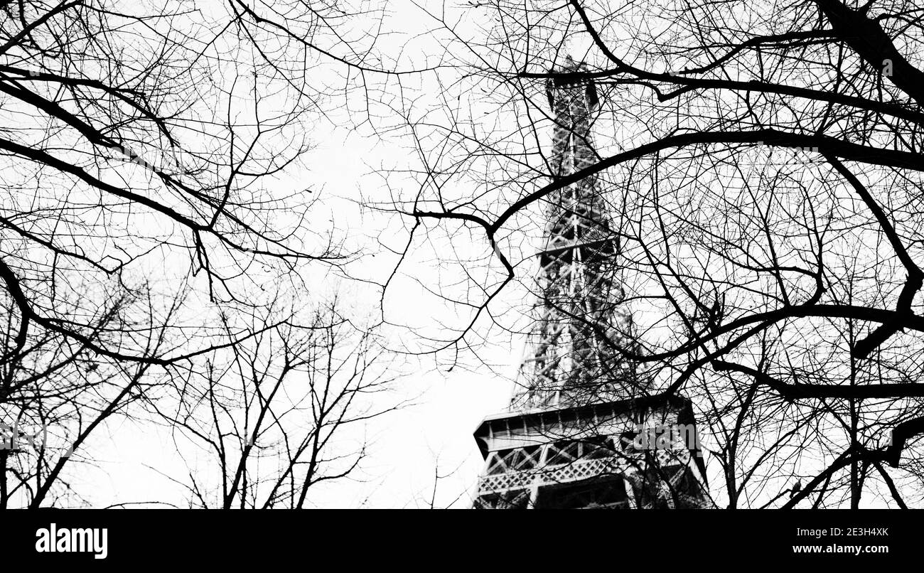 parigi inverno torre eiffel pellicola bianco e nero Poster rami alberi nikon Stockfoto