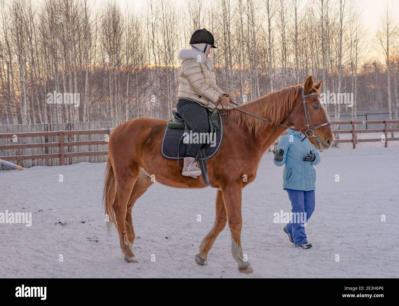 Eine kaukasische Erwachsene Frau lernt Dressur auf einem Pferd. Der Reiter hört dem Dressurtrainer aufmerksam zu. Winter, Outdoor, Reitzentrum. Stockfoto