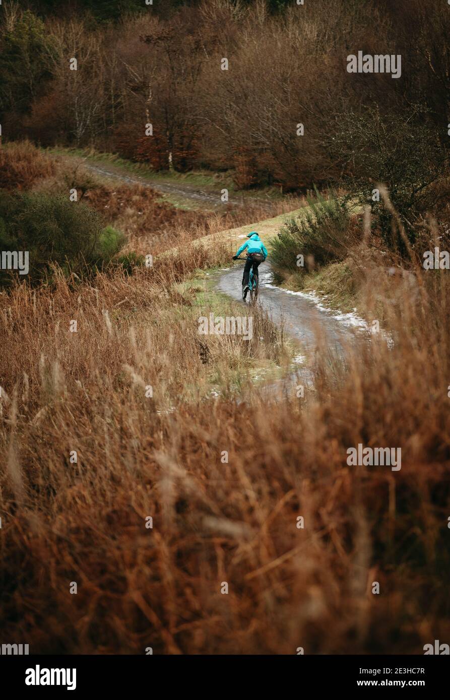 Mountainbike, Cathkin Braes, Glasgow, Schottland Stockfoto