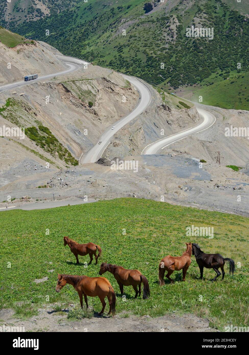 Taldyk Pass. Landschaft entlang des Pamir Highway. Die Bergkette Tian Shan oder Heavenly Mountains. Asien, Zentralasien, Kirgisistan Stockfoto