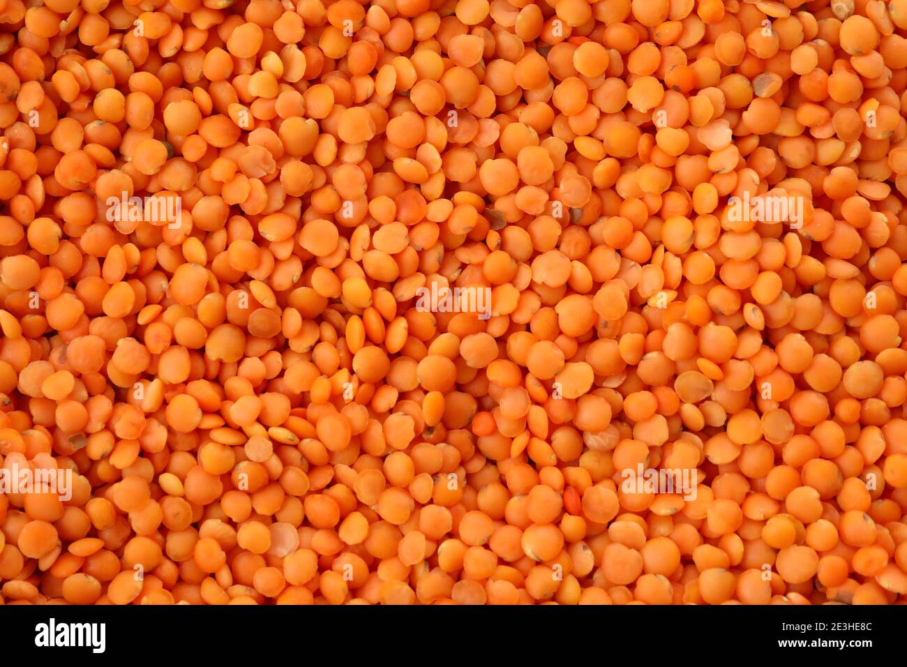 Ungekochte rote Leguminosen auf dem ganzen Hintergrund, Draufsicht Stockfoto