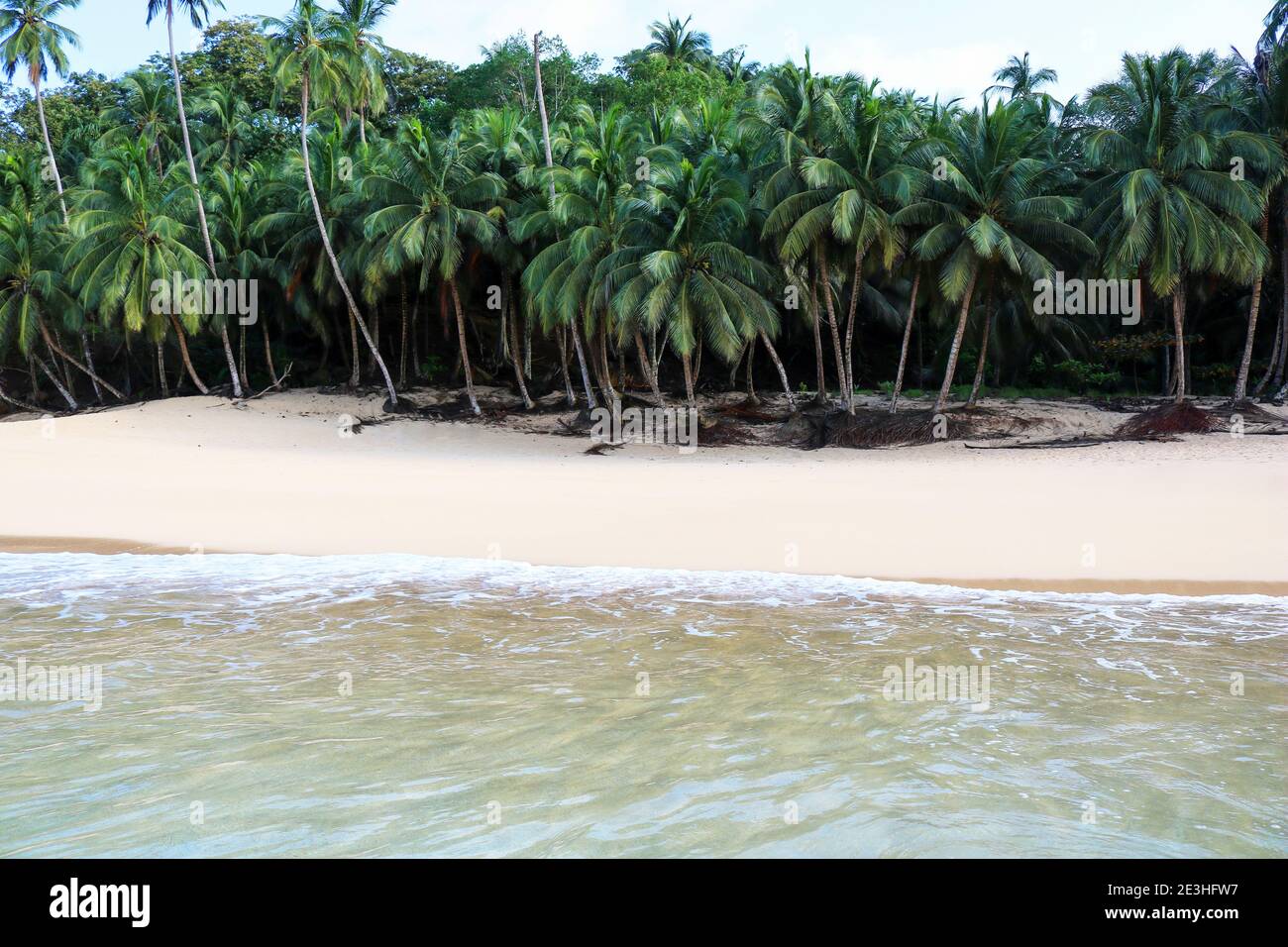 Strand auf der tropischen Principe Insel vom Wasser aus gesehen Blick auf die Pflamebäume vor dem Ufer Stockfoto
