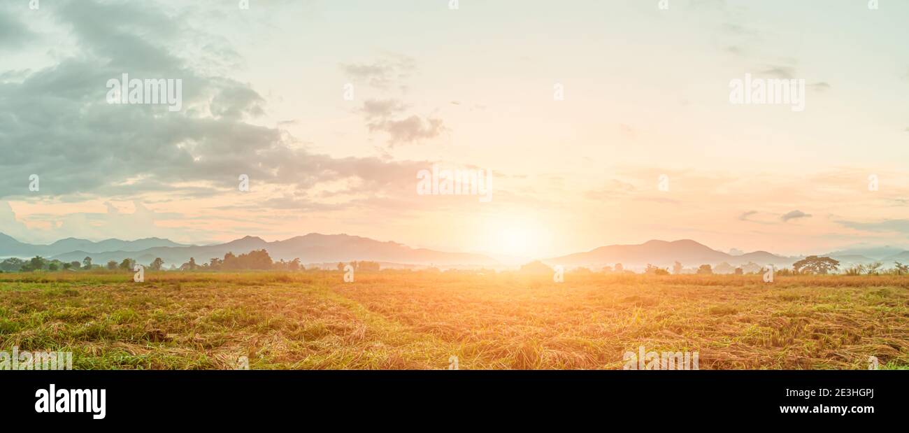 Schönes Morgen landwirtschaftliches Feld bei Sonnenaufgang. Ländliche Landschaft. Panoramabild Stockfoto