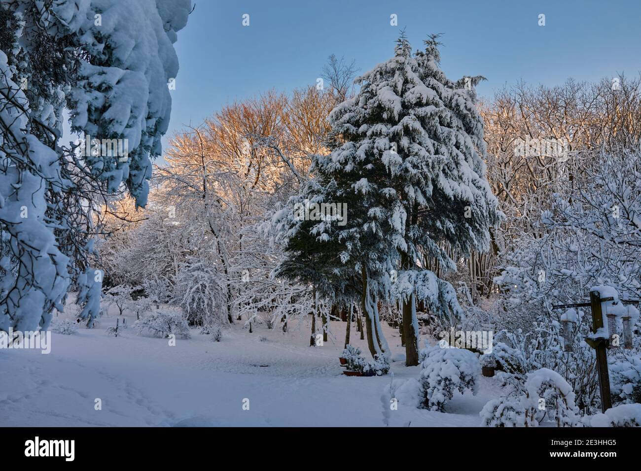 Mit strahlendem morgendlichen Wintersonnenschein bedeckt starker Schneefall den Moorgarten Stockfoto