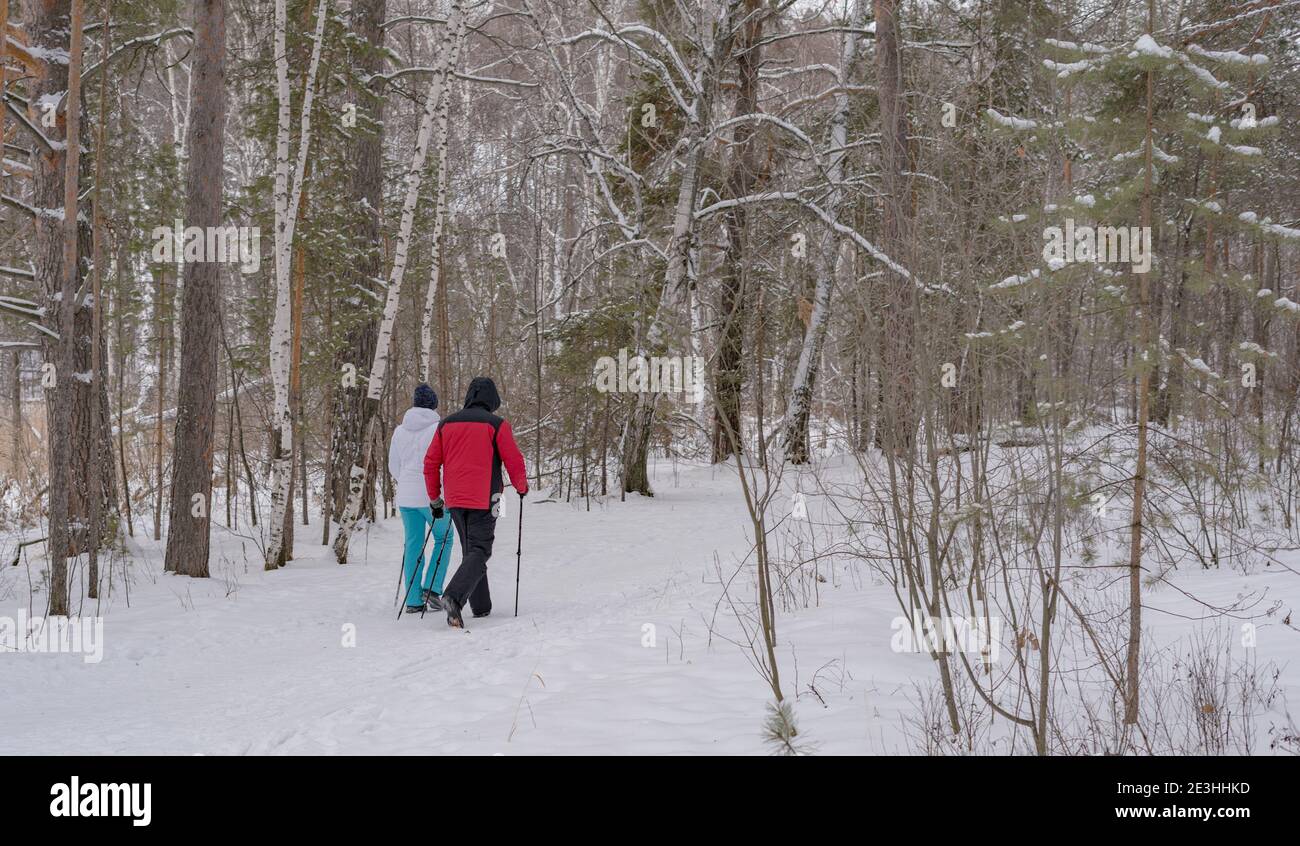 Wintersport in Finnland - nordic Walking. Unkenntlich Mann und Frau wandern im kalten Wald. Aktive Menschen im Freien. Malerische friedliche finnische Landschaft mit Schnee. Wolkiger Wintertag. Leerzeichen für Text. Stockfoto