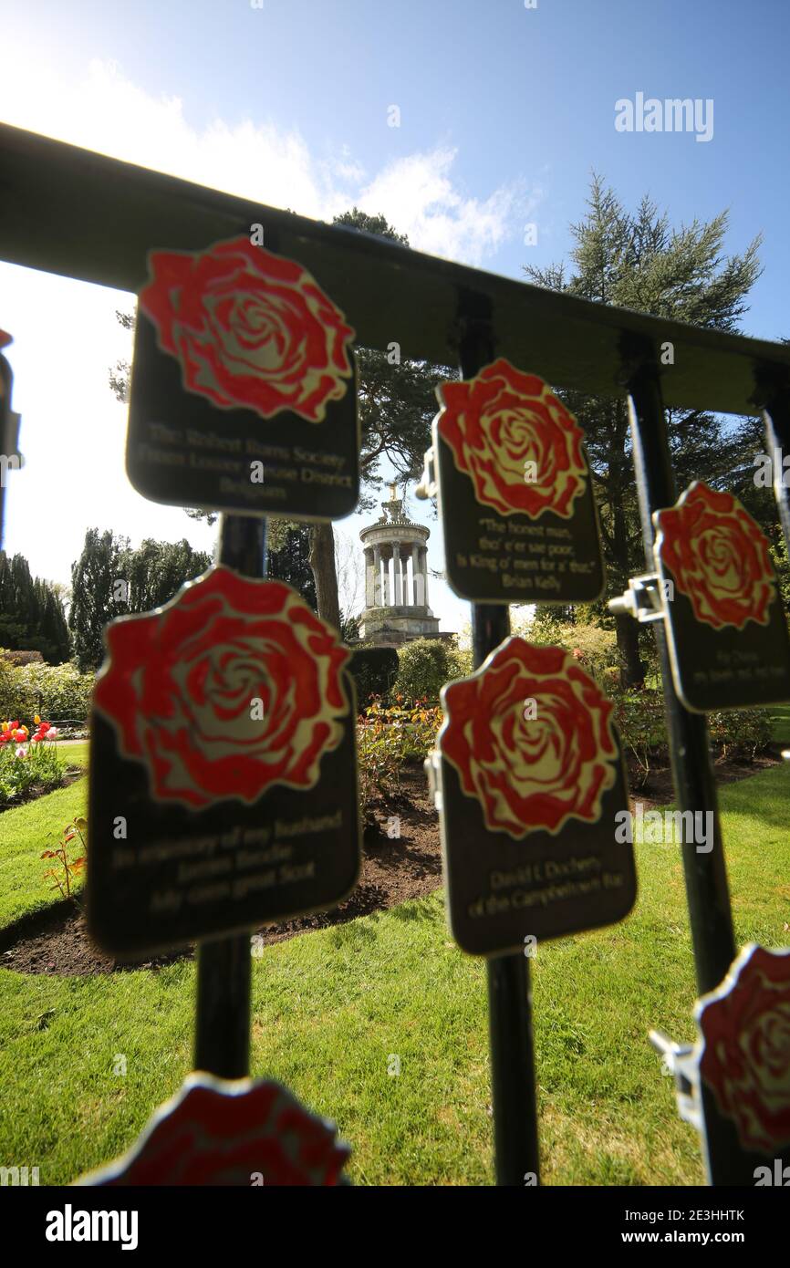 Burns Monument, Alloway, Ayrshire, Schottland, Großbritannien. Metall-Namensschilder in Form einer roten Rose mit Namen von Personen, die für die Restaurierung und bis halten des Denkmals gespendet haben Stockfoto