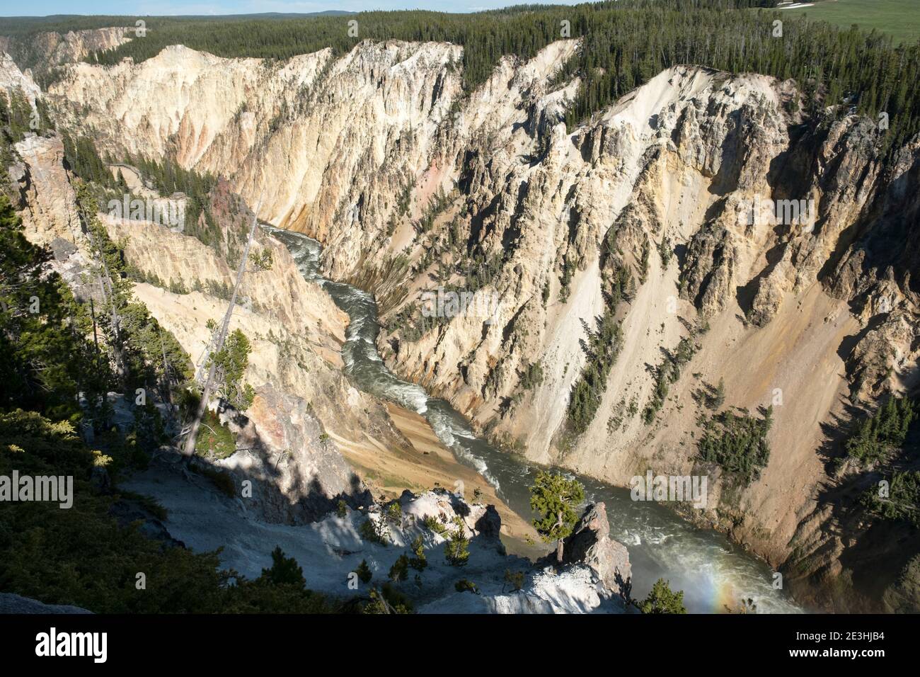 Blick auf den Yellowstone River, der durch den Grand Canyon von Yellowstone, Wyoming USA fließt. Stockfoto