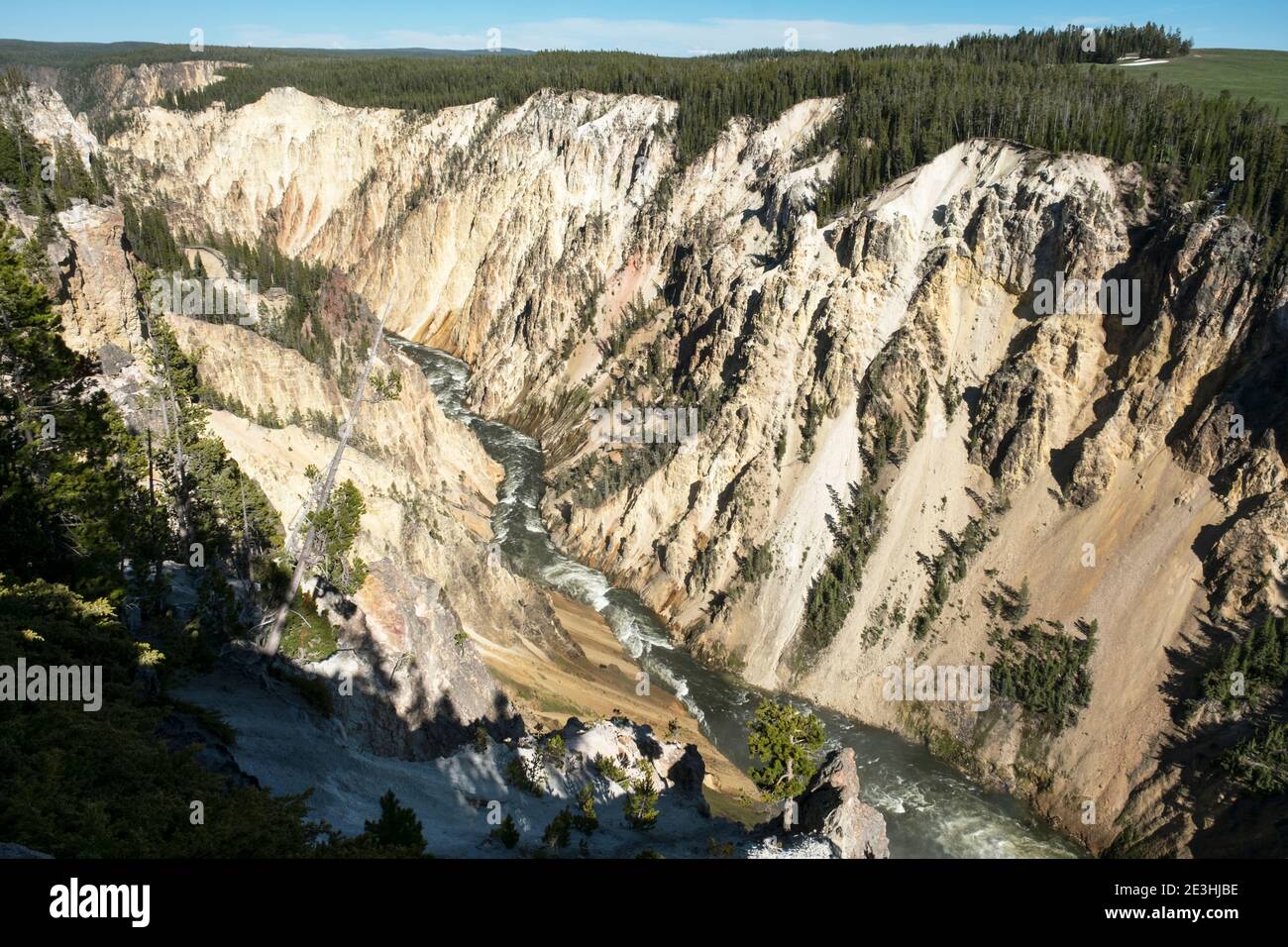 Blick auf den Yellowstone River, der durch den Grand Canyon von Yellowstone, Wyoming USA fließt. Stockfoto