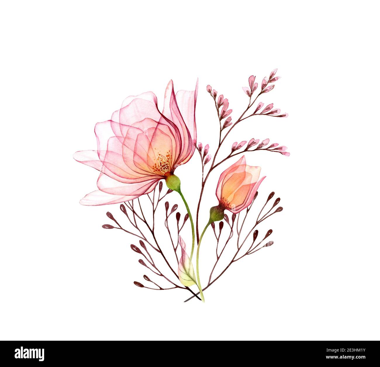 Aquarell Rosenstrauß. Große transparente rosa Blüten isoliert auf weiß. Handbemalte Vintage-Kunstwerke. Botanische Illustration für Karten, Hochzeit Stockfoto
