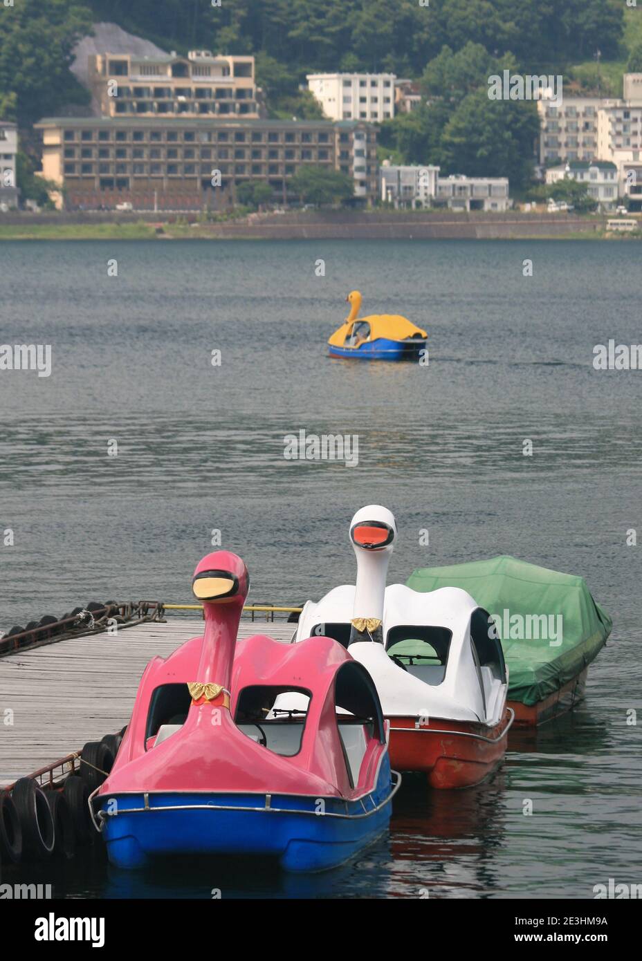 Bunte Swan Paddle Boote am Lake Kawaguchi in Japan Stockfoto