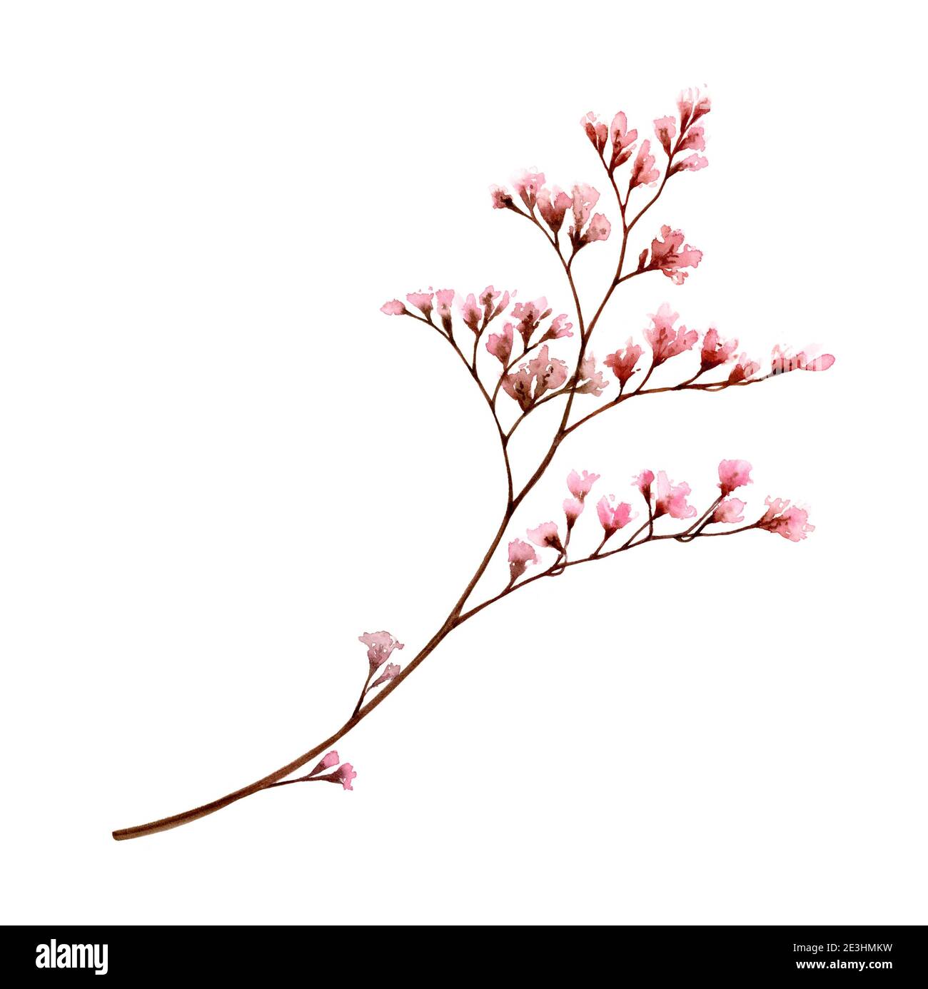Aquarell Zweig mit kleinen rosa Blüten. Bouquet Element isoliert auf weiß. Handbemalte Vintage-Kunstwerke. Botanische Illustration für Karten, Hochzeit Stockfoto