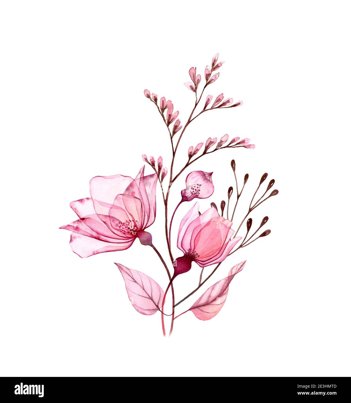 Aquarell-Bouquet. Transparente rosa Rosen mit Herbstzweigen isoliert auf weiß. Handbemalte Vintage-Kunstwerke. Botanische Illustration für Karten Stockfoto