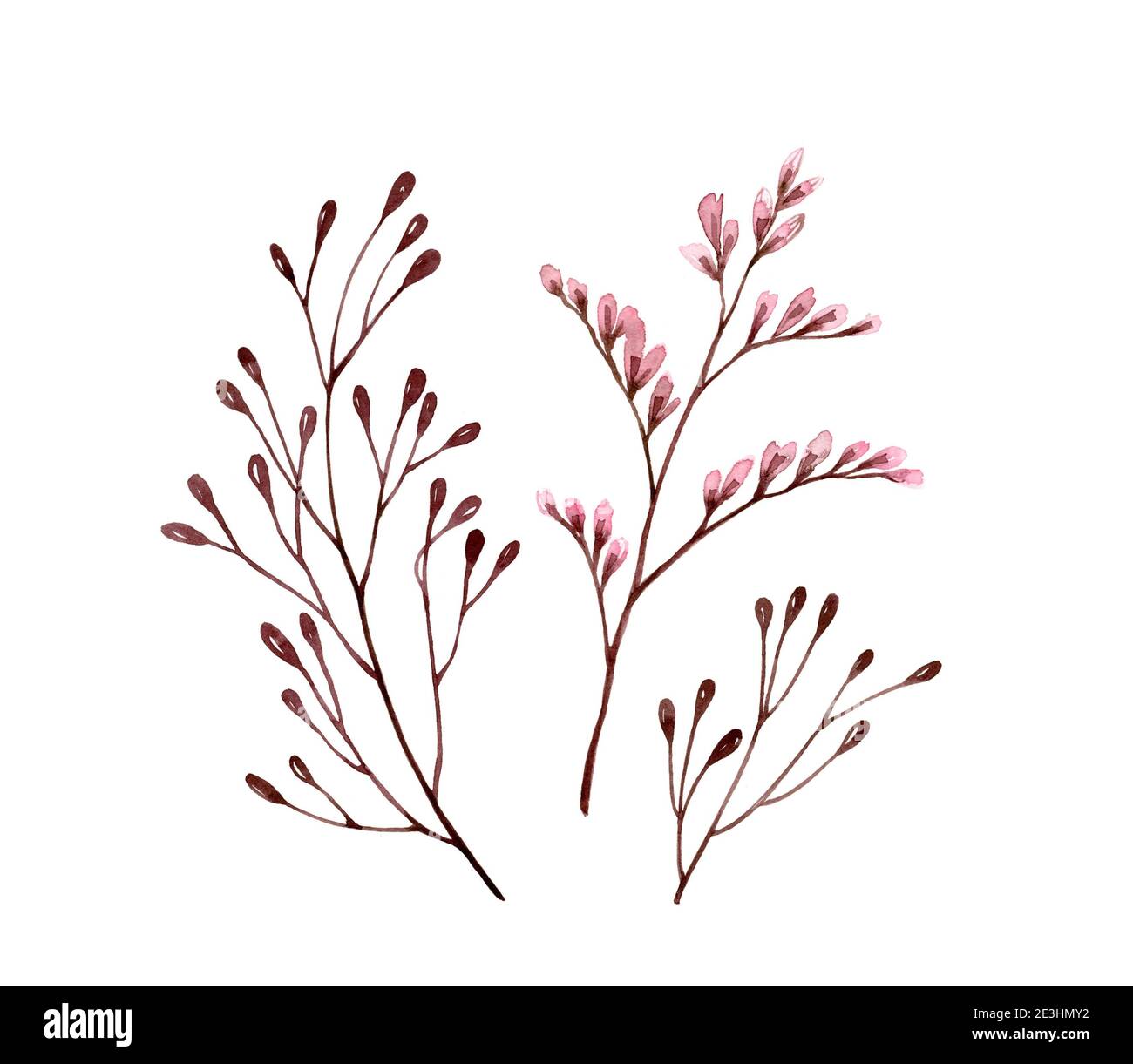 Äste mit Aquarellfarben. Set von Blumen mit kleinen rosa Blüten. Bouquet Element isoliert auf weiß. Handbemalte Vintage-Kunstwerke. Botanische Abbildung Stockfoto