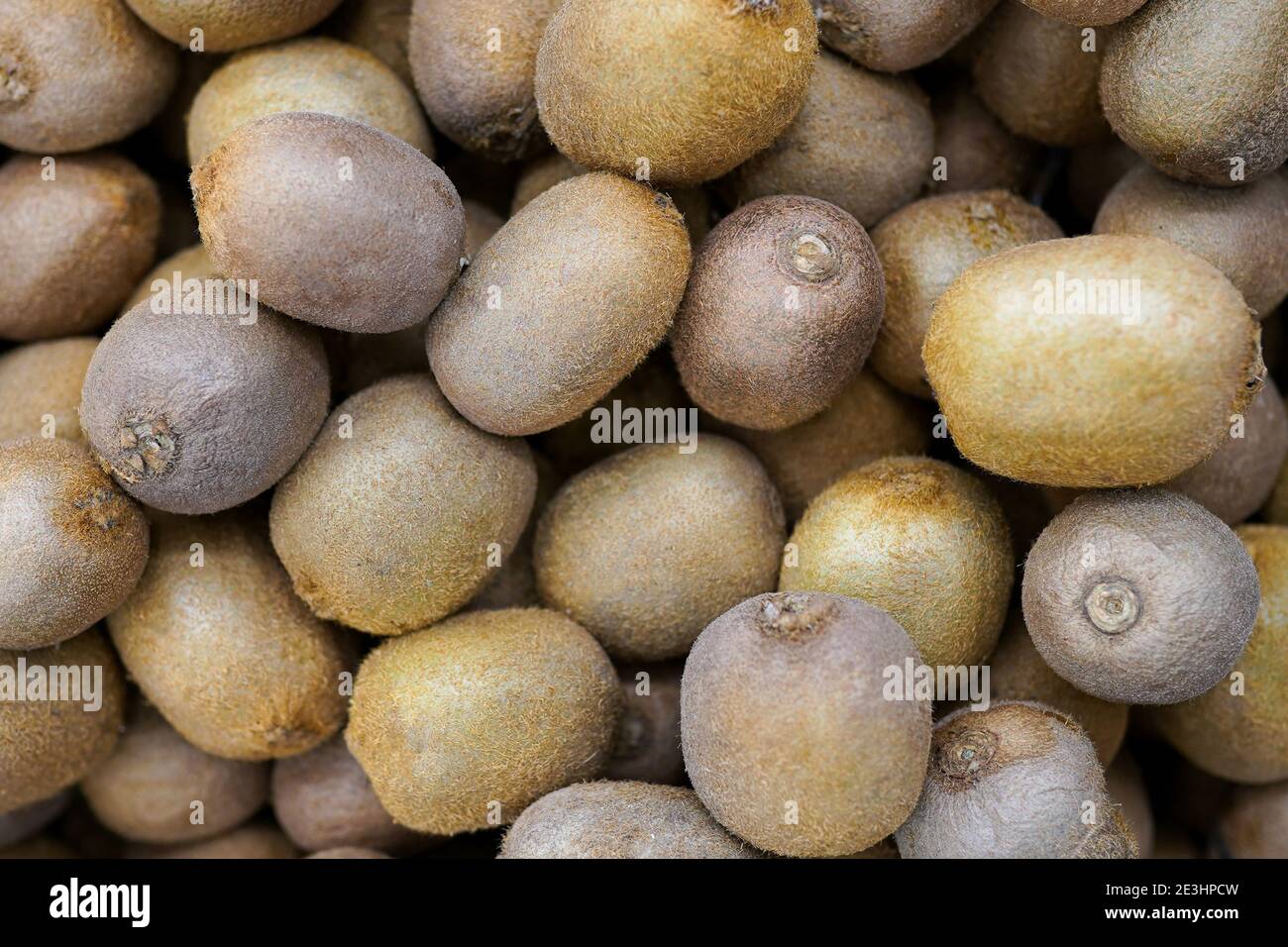 Makro Foto Lebensmittel Obst Kiwi. Textur Hintergrund Lebensmittel reif Bio Kiwi. Bild Lebensmittel Produkt Obst haarige Kiwi Stockfoto