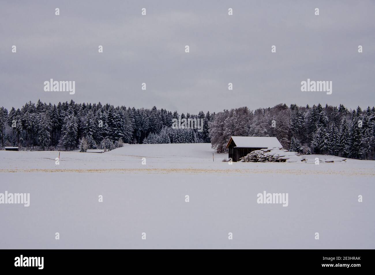 Im Freien Winter landschaftlich an einem kalten und schneit Tag in Mitteleuropa Stockfoto