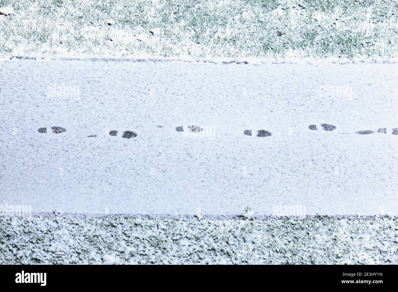 Einzelne Schritte in Neuschnee mitten auf dem Bürgersteig, Gras auf beiden Seiten, Draufsicht Stockfoto