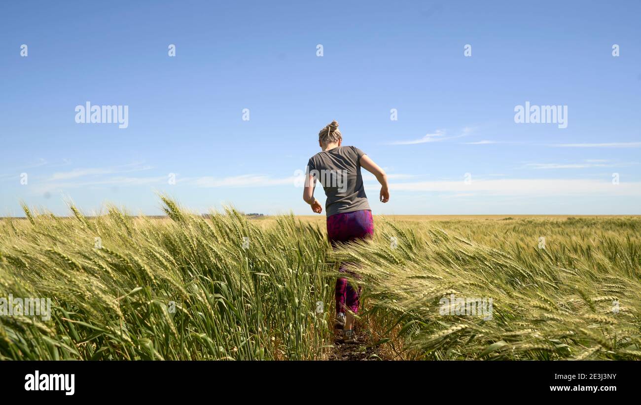 Laufen im Weizen Junges Mädchen, das im Spätsommer durch Weizenfeld läuft. Stockfoto