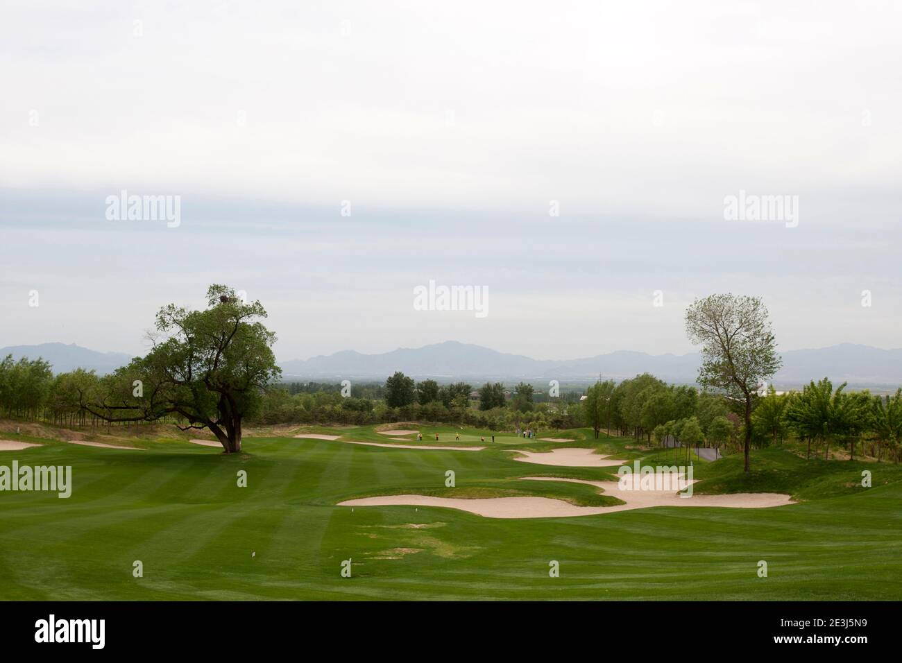 Bilder von Golfplatz mit grünem Gras hochwertige Foto Stockfoto