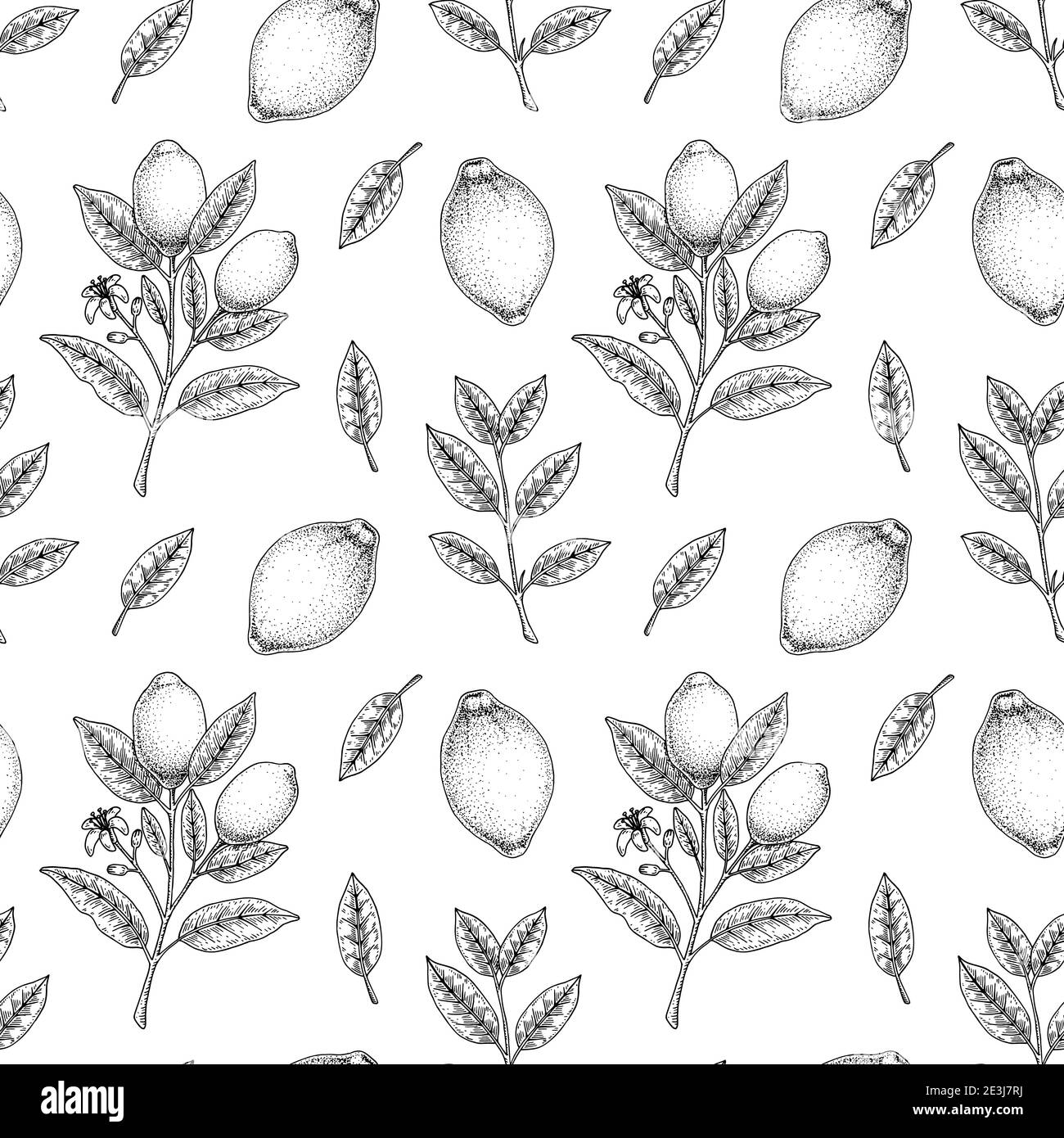 Handgezeichnetes nahtloses Muster mit Zitronenfrüchten, Blättern und Zweigen mit Blumen. Vektorgrafik im Skizzenstil Stock Vektor