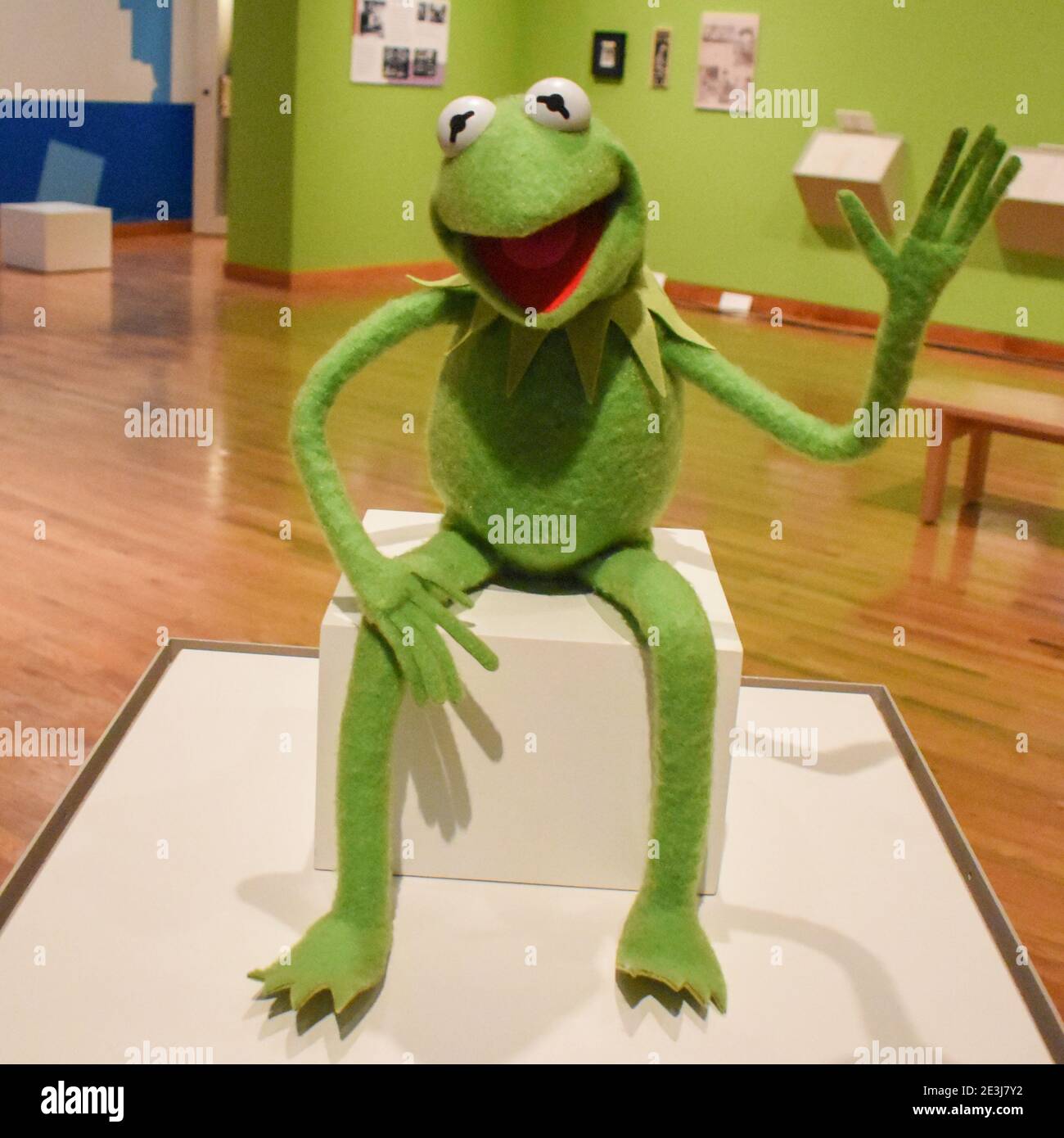 kermit der Frosch Stockfoto