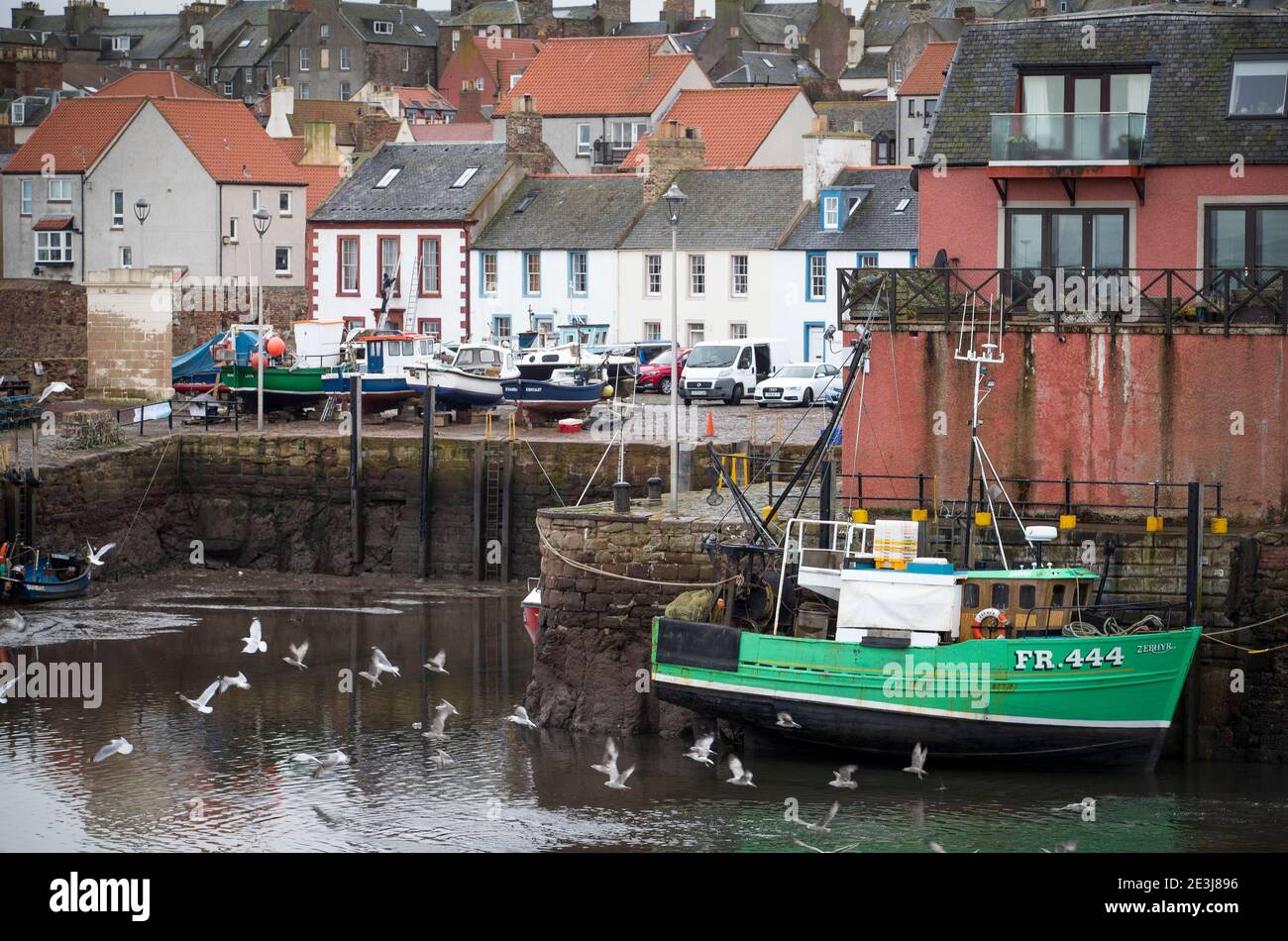 Ein Fischerboot liegt in Dunbar Harbour, East Lothian. Die Ausfuhren von frischem Fisch und Meeresfrüchten wurden durch Verzögerungen seit dem Ende der Übergangsperiode des Vereinigten Königreichs erheblich beeinträchtigt. Neue Kontrollen und Papierkram verursachen massive Verzögerungen für die Industrie, und die Hersteller von Meeresfrüchten werden zunehmend frustriert über das Fehlen staatlicher Maßnahmen. Bilddatum: Dienstag, 19. Januar 2021. Stockfoto