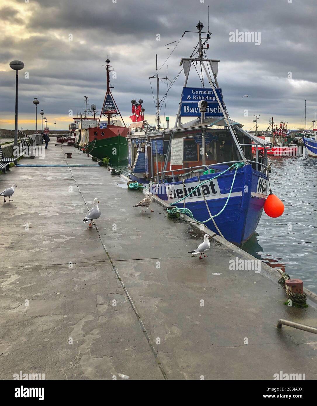 Marina in der Ostsee Stockfoto
