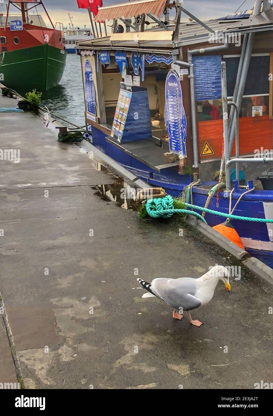 Fischerboote in einer Marina Stockfoto
