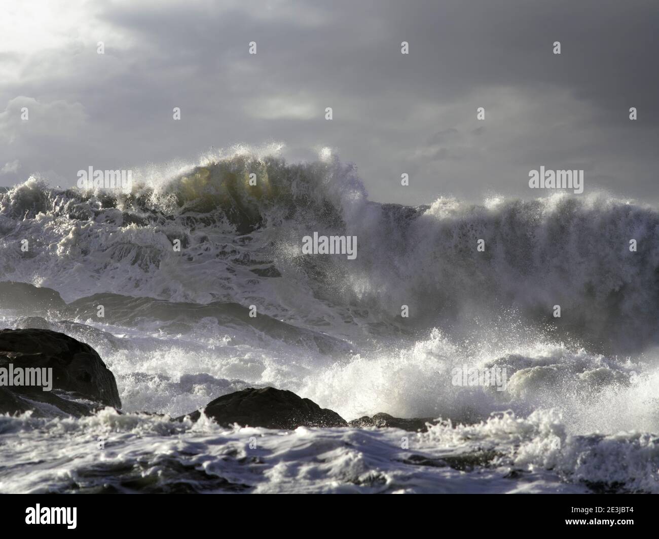 Dunkle Winterseesacke mit einer großen, stürmischen Welle Stockfoto