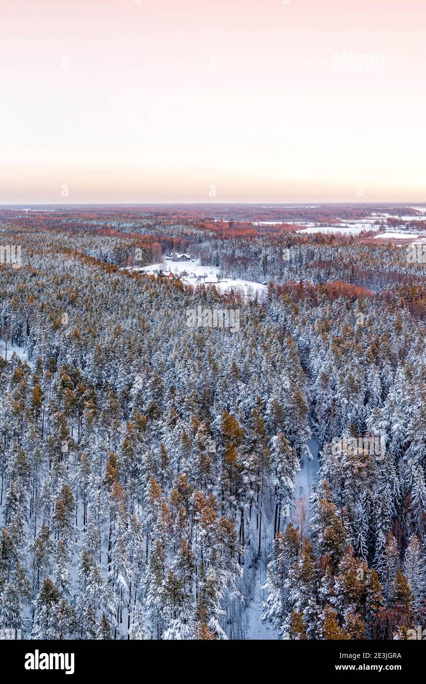 Schneebedeckte Winterwaldansicht von Drohne bei Sonnenaufgang Stockfoto