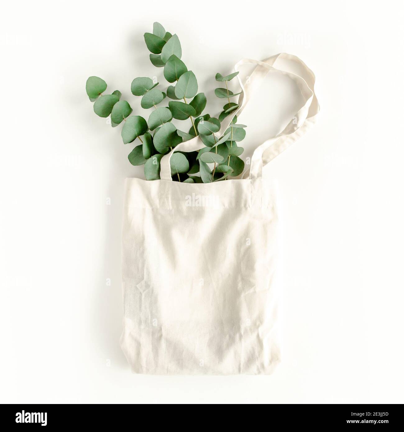 Öko Tasche mit Eukalyptus auf weißem Hintergrund Stockfoto