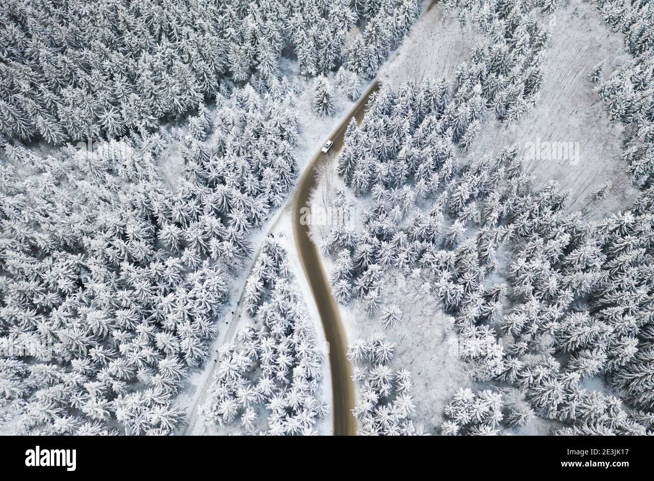Luftaufnahme der Straße mit einem weißen Auto im Winterwald mit hohen Pinien oder Fichten, die von Schnee bedeckt sind. Fahren im Winter. Stockfoto