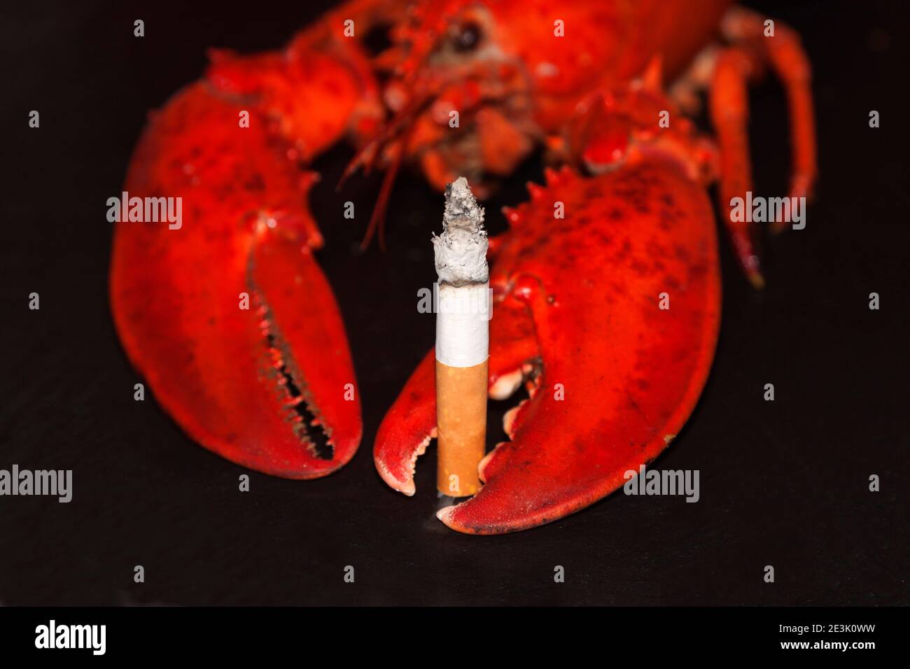 Symbolisches Foto für Lungenkrebs Stockfoto