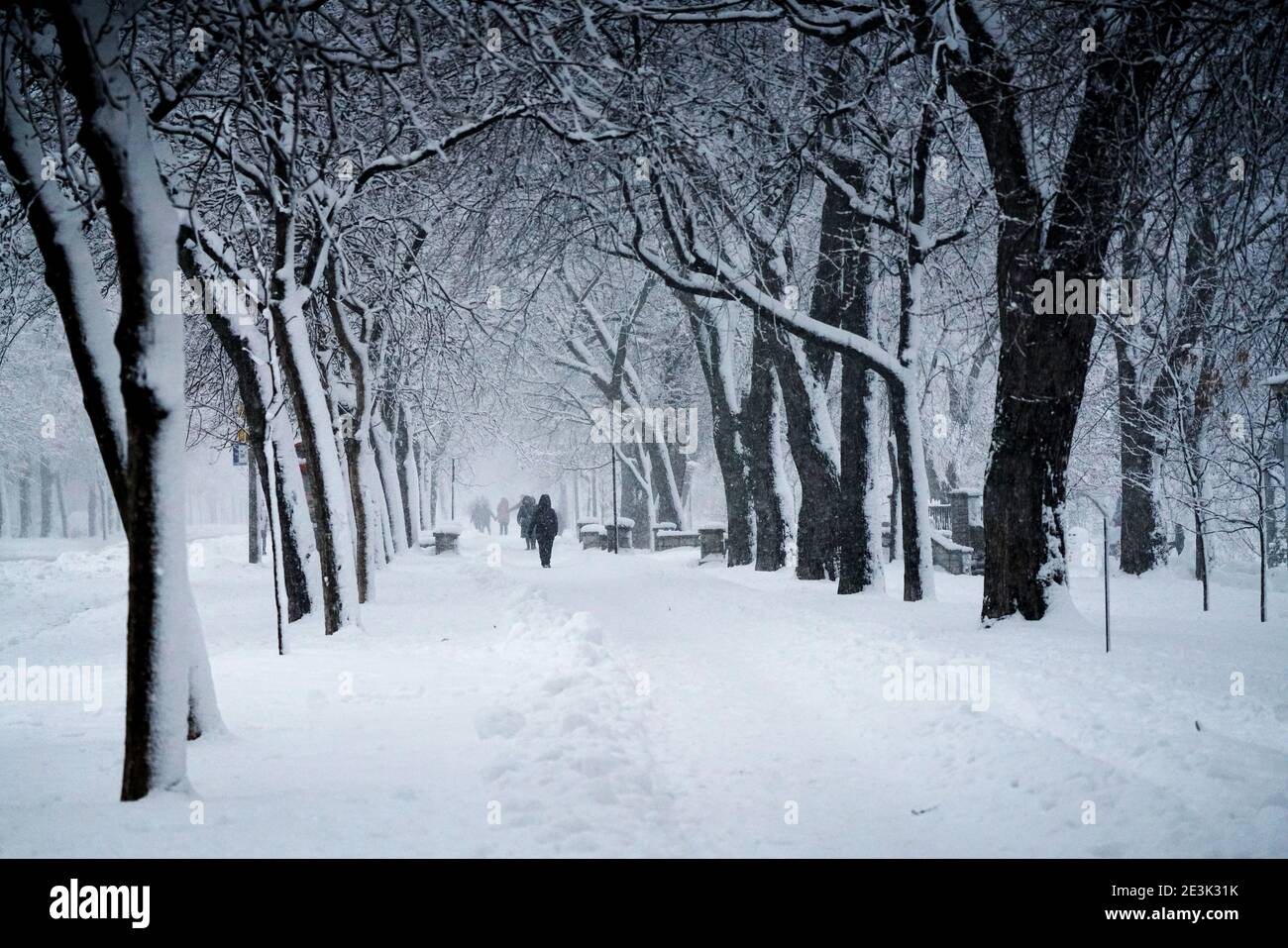 Montreal, Quebec, Kanada, Januar 17,2021.Lafontaine Park während eines Schneesturms in Montreal, Quebec, Kanada.Kredit:Mario Beauregard/Alamy News Stockfoto