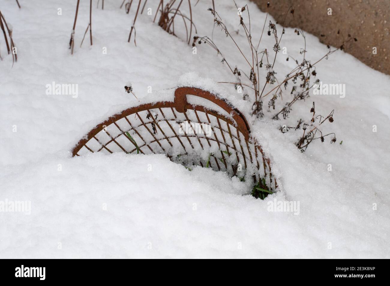 Nahaufnahme eines rostigen Metallkorbs, der tief in die Tiefe liegt Schnee im Garten im Winter Stockfoto