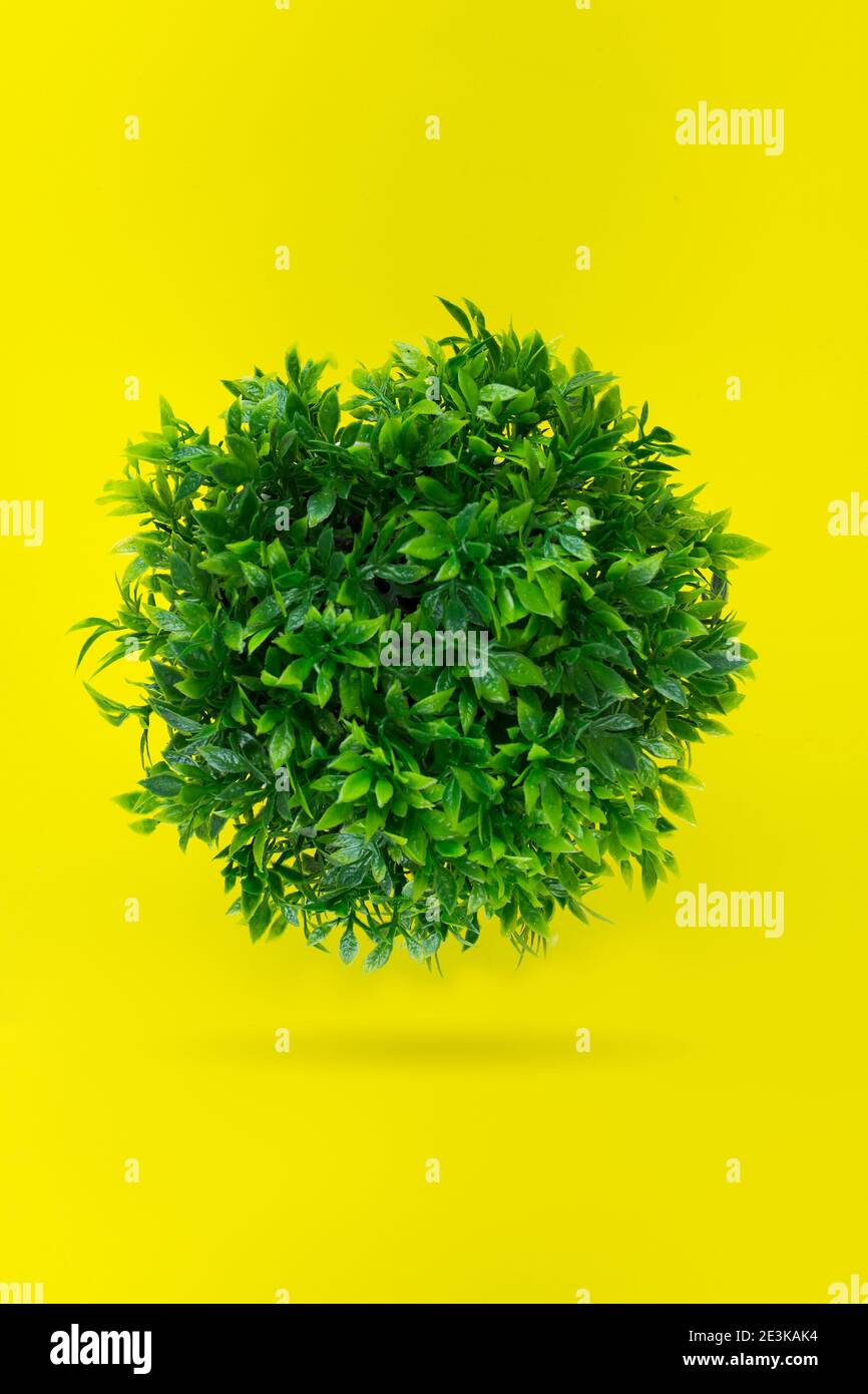 Grüne grasige Kugel, Blatt bedeckte Erde auf einem gelben Hintergrund. Konzept Tag Erde. Umweltfreundlicher Planet Stockfoto