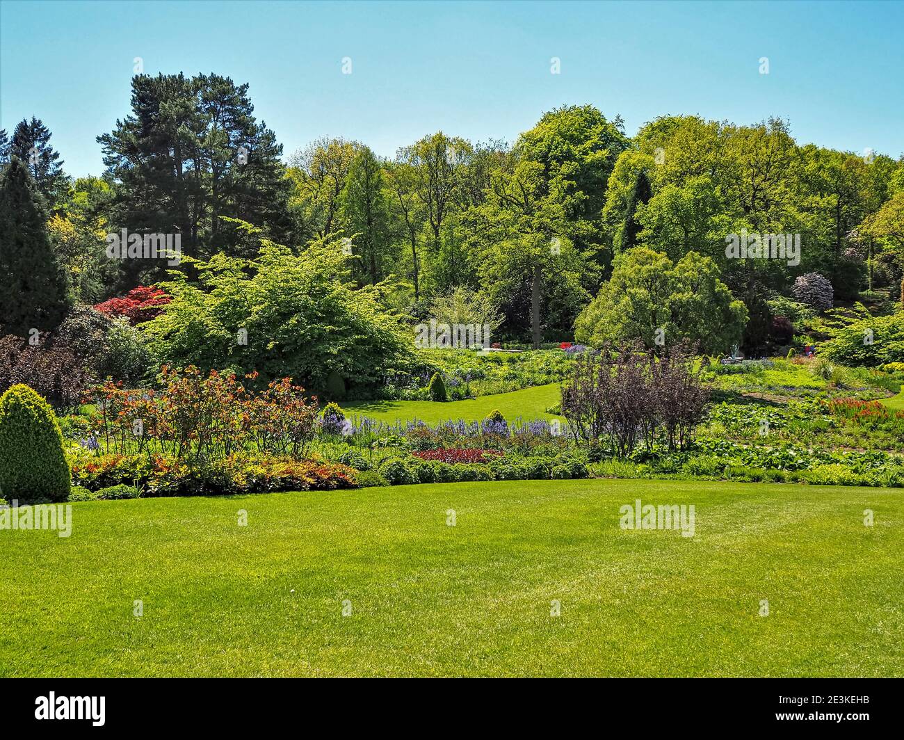 Blick über grüne Rasenflächen, Blumenbeete und Bäume in Harlow Carr Gardens, Harrogate, North Yorkshire im Sommer ohne Menschen im Blick Stockfoto